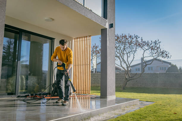 Best Sidewalk and Walkway Cleaning  in Mercedes, TX